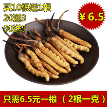 3根1克西藏那曲冬虫夏草正品 新鲜正宗野生虫草无断草可配礼盒
