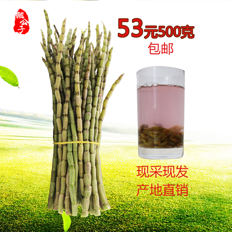戴公子铁皮石斛鲜条 新鲜石斛500g 雁荡三年仿野生铁皮滋补枫斗