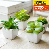迷你小肉肉塑料花方形陶瓷摆件 生活多肉仿真植物假花盆栽盆景