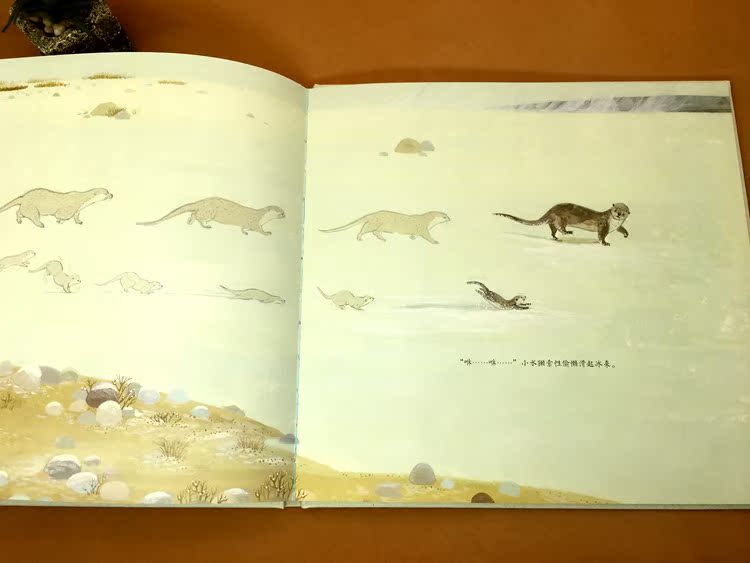 图画书正版精装硬壳自然绘本系列 小动物水獭生活故事书绘本 早教书