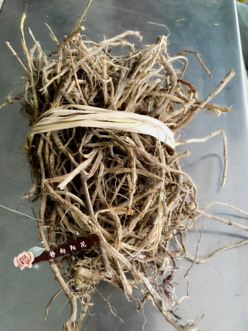 广东梅州蕉岭客家食品野生五月艾根煲鸡汤腰骨痛艾草根茎益母草