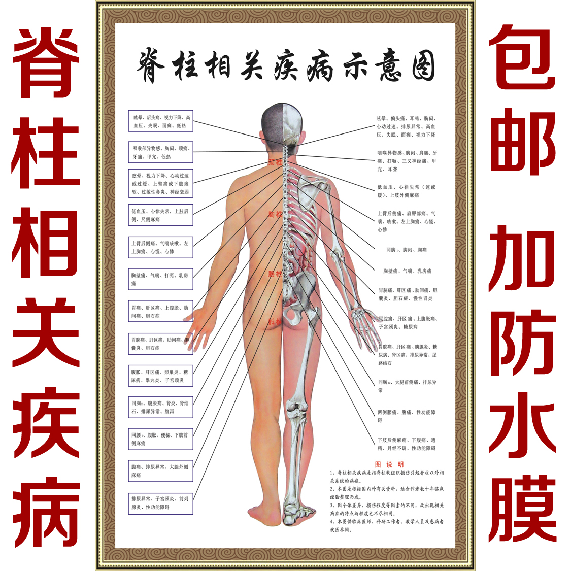 针灸艾灸人体经络穴位图大挂图足底全套中医美容养生保健按摩海报