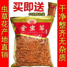 包邮 干货正品 天天特价 北虫草蛹虫草金虫草花干货500g 虫草花