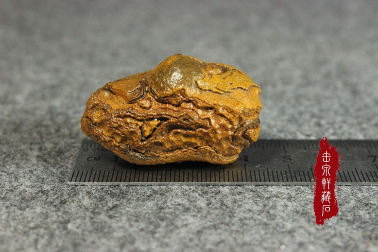 眼睛石 地表阿拉善西藏 天珠九眼石页岩辟邪天然戈壁玛瑙原石筋脉