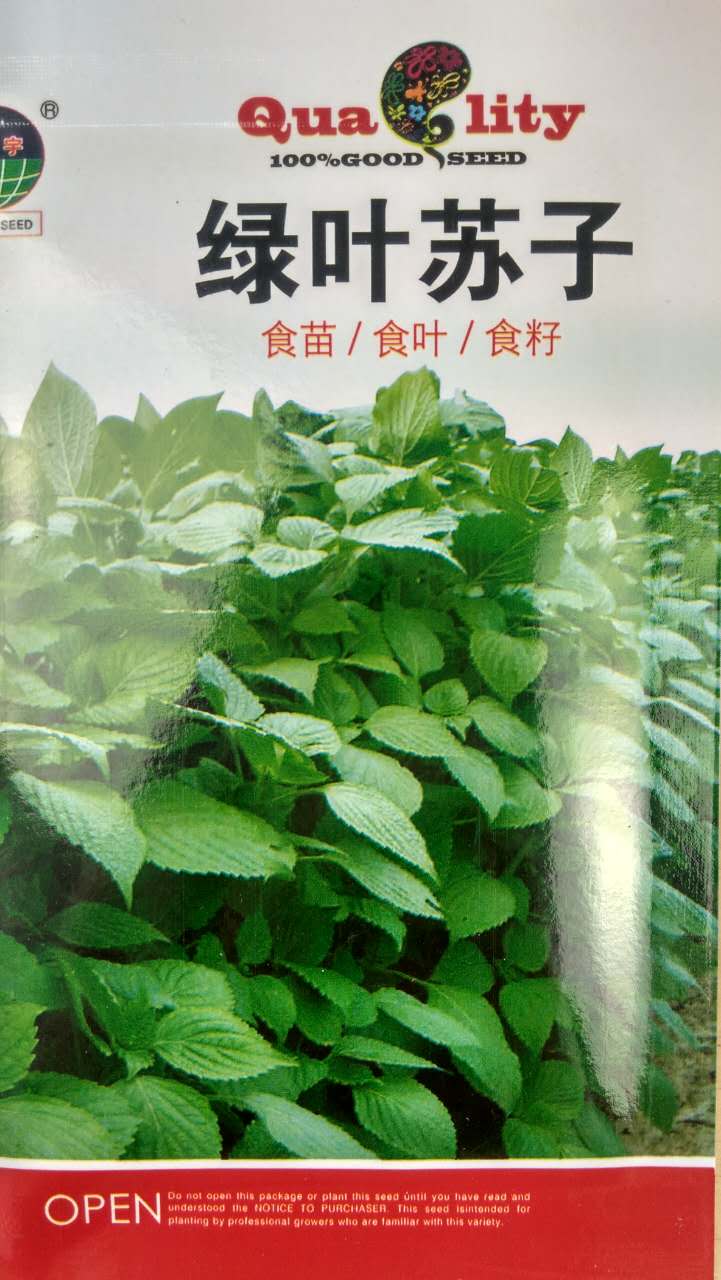 东北绿苏子叶种子绿叶苏种子菜籽儿阳台种蔬菜盆栽食用香草四季4g$3.