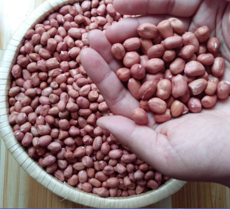 正品[山东德语翻译招聘]山东德语老师招聘评测