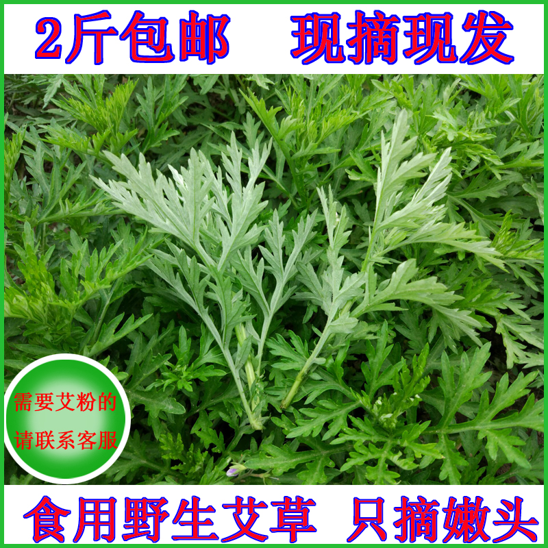 查看淘宝包邮食用野生天然新鲜艾草嫩艾叶艾草青团艾蒿糍粑粑清明果艾