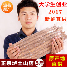 怀涛河南焦作温县正宗垆土铁棍山药新鲜铁杆怀淮山药大学生山约