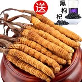 冬虫夏草正宗虫草 野生礼盒装 1克西藏那曲正品 3到4条