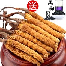野生礼盒装 冬虫夏草正宗虫草 2条1克西藏那曲正品