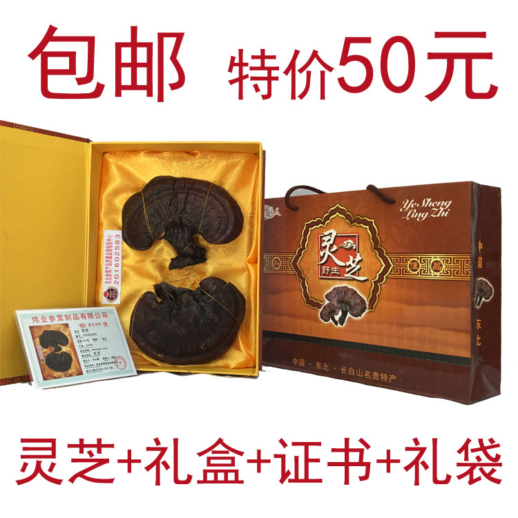 长白山灵芝灵芝礼盒半野生紫灵芝灵芝孢子粉野生灵芝片带证书包邮