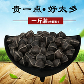 滋补品500g大颗粒 食用 包邮 散装 正宗印度进口辣木子精选辣木籽