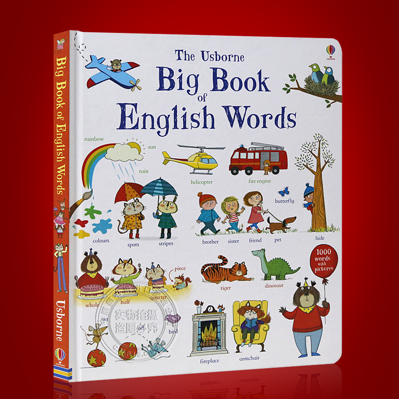 现货 英文原版 big book of english words 大开本儿童英语单词彩色