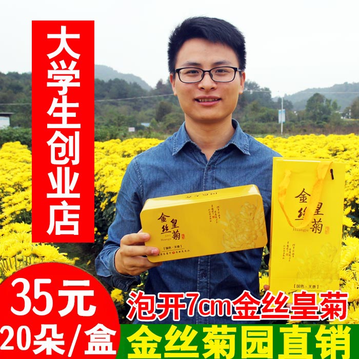 特级金丝皇菊 正宗一朵一杯 花茶 菊花茶 婺源皇菊 20朵礼盒包邮