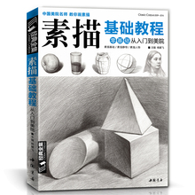 经典 杨建飞主编 全集 诀窍初学30天学会临摹人物技法全套教材书籍 素描书零基础自学入门铅笔绘画教程成人手绘画画本几何体静物