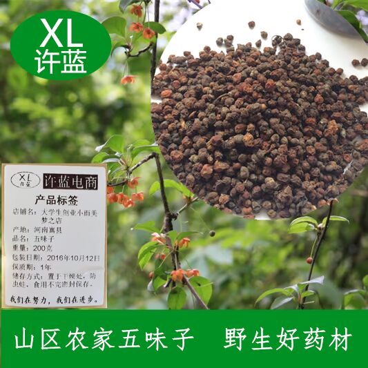 包邮新货 五味子野生北五味子中药材精选泡酒料茶 改善睡眠200克