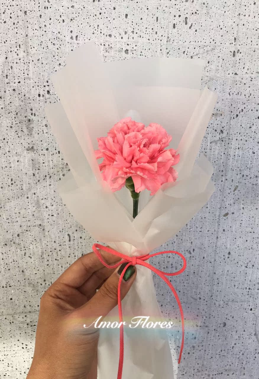 母亲节康乃馨迷你小花束 大连鲜花 兴工街交大