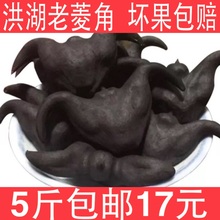包邮 洪湖新鲜老菱角野生菱角现摘青菱角农家菱角新鲜蔬菜水栗5斤