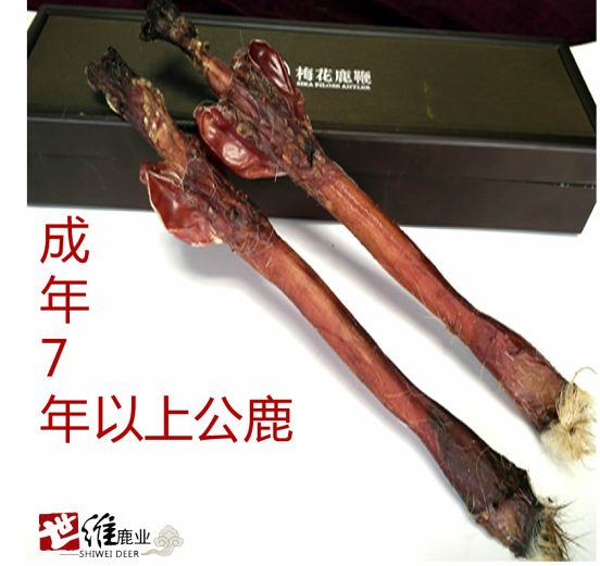 梅花鹿鞭整枝鹿鞭鹿鞭干鹿鞭成年种鹿鹿鞭腰腿疼痛正品包邮
