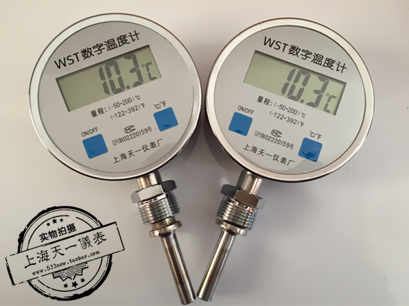 数字温度表