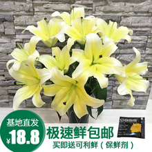 香水百合鲜花速递室内扎花白紫黄粉色多头鲜切花云南新鲜百合插花