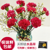 鲜花 云南昆明 包邮 单头多头控塑耙辉起批 控塑鞍俸舷驶ㄋ俚