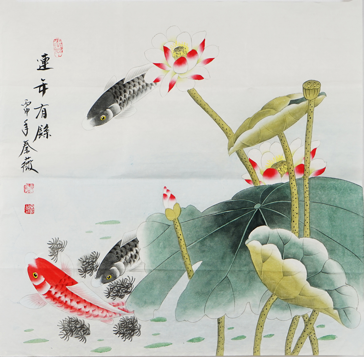 国画工笔画四尺斗方荷花《连年有余》荷花鱼秦薇字画1681