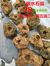办公室居家加湿器 微型盆景 吸水石上水石金钱菖蒲盆水培绿植