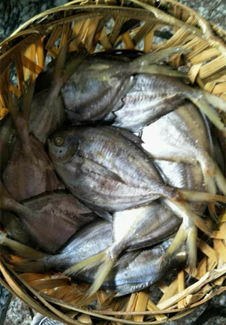 潮汕特产潮州打冷新鲜当天出炉现做白鲳鱼饭熟食白鲳鱼500克