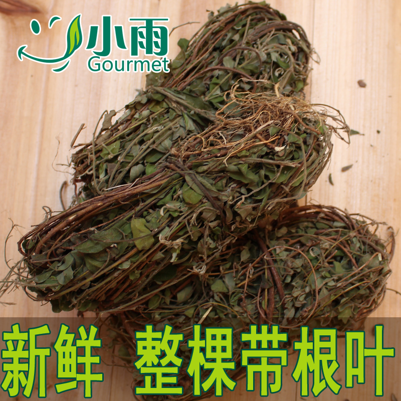 正宗野生鸡骨草 汤料靓品  鸡骨草500克 草药 汤材
