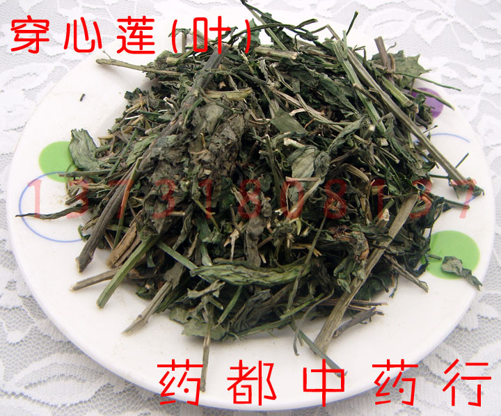 中药材 野生 穿心莲 穿心莲叶特价25G