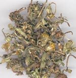 中药材中草药精选蒲公英（别名 婆婆丁 黄花草 蒲公丁）500克