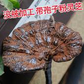 野生紫灵芝正品 云南深山不苦林芝整枝野灵芝半野生紫芝500克 灵芝