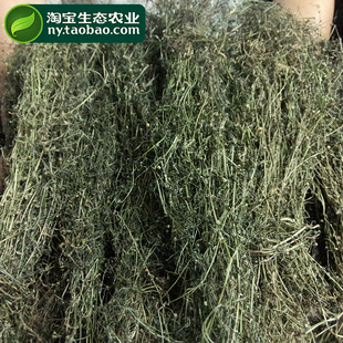 淘宝生态农业推荐 凉茶降火热气 农家自晒野生白花蛇舌草茶药冲剂凉茶