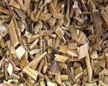 野生透骨草 500g6元