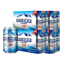 24听 整箱装 冰爽拉罐330ml 天猫超市 哈尔滨啤酒 Harbin