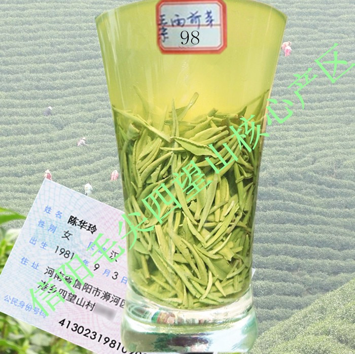 茶叶绿茶信阳毛尖2016春茶绿茶毛尖茶有机绿茶自产自销250g装包邮