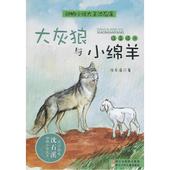 动物小说大王沈石溪·注音读本:大灰狼与小绵羊 正版童书 当当网