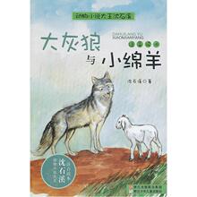 动物小说大王沈石溪·注音读本:大灰狼与小绵羊 正版童书 当当网