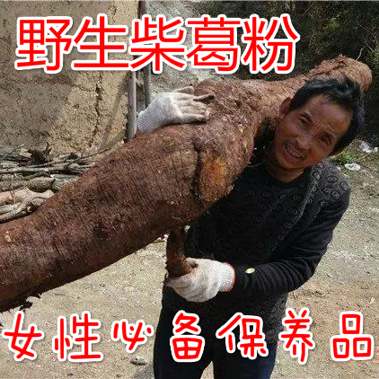 野生葛根粉 农家自产自销 纯野生柴葛粉 天然自制代餐粉 500G包邮