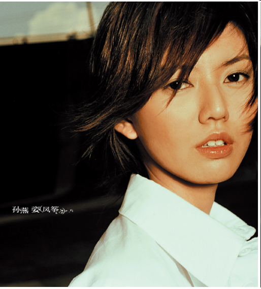 预售 正版 孙燕姿:stefanie 纪念版 2004专辑 cd 大海报