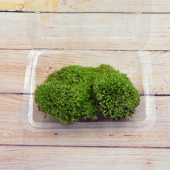 微景观生态瓶苔藓专用营养土盆栽种植工具