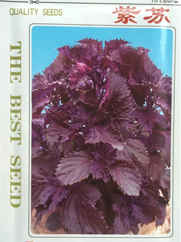 寿光蔬菜种子 补血补钙风味独特 润肺消炎 紫苏子菜种子5克