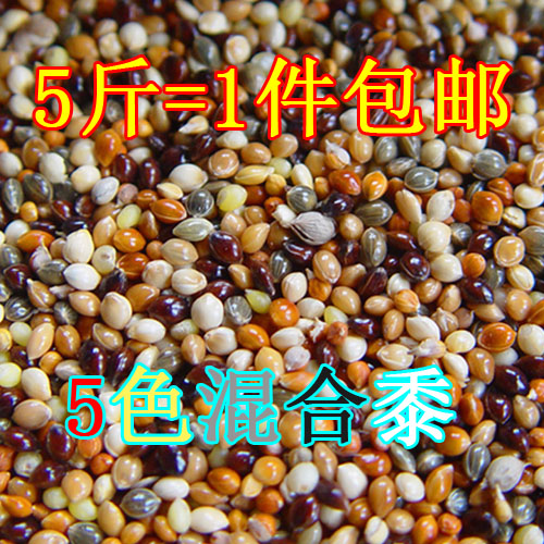 5色混合黍子 谷子玄凤 牡丹 虎皮 鹦鹉饲料鸟食鸟粮 可做枕芯包邮