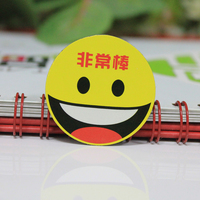 磁性教具 汉语拼音磁贴 学习磁吸 教学冰箱贴 6