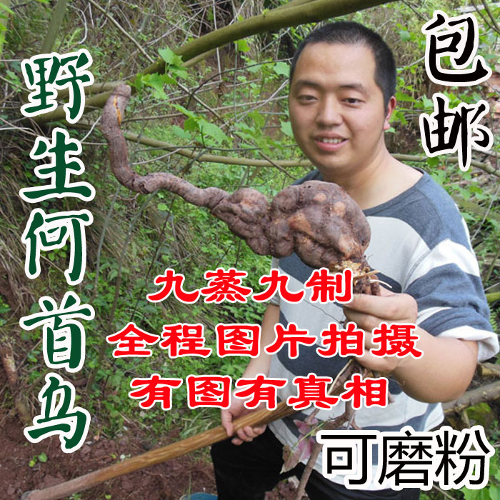 九蒸九制正品野生制何首乌片粉 洗发黑发防脱乌发茶可磨粉 包邮