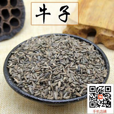 中药材牛蒡子 大力子 牛子根牛蒡子净货无杂质批发价100克5件包邮