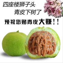 柏年久福赌青皮狮子头虎头文玩核桃赌青皮四座楼狮子头白狮子官帽
