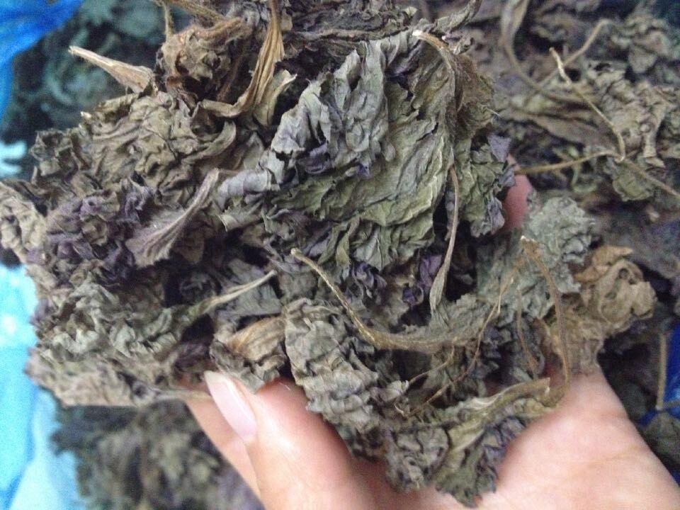 衢州开户土特产正宗野生天然紫苏叶子干 鱼虾蟹去腥提鲜必用 特价