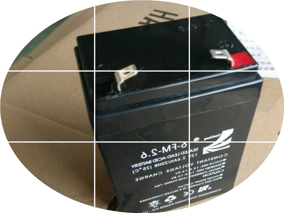 正品[蓄电池在线检测系统]蓄电池监测系统评测